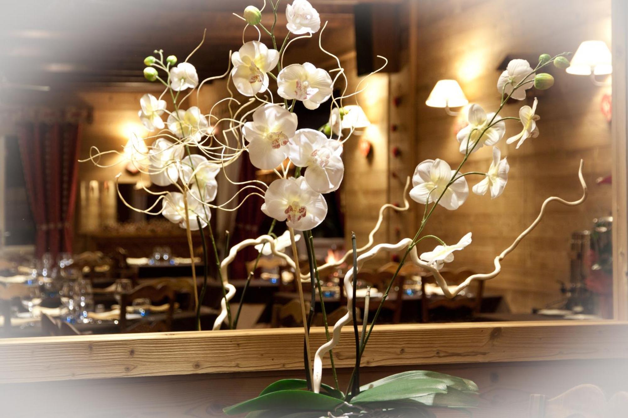 Hotel - Restaurant - Bar - Le Sapin Fleuri Bourg d'Oueil Экстерьер фото