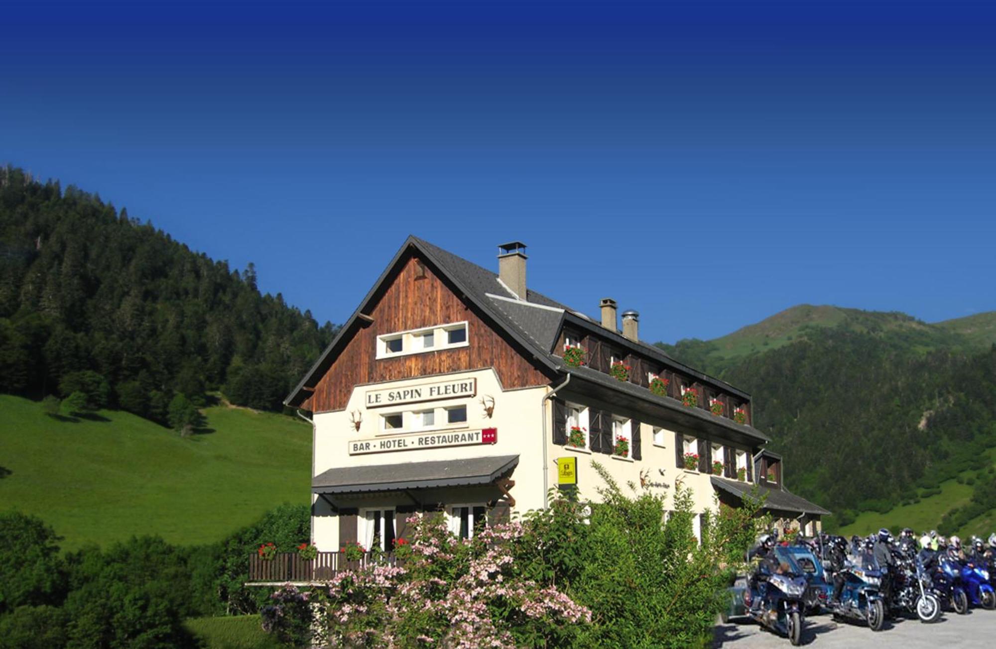 Hotel - Restaurant - Bar - Le Sapin Fleuri Bourg d'Oueil Экстерьер фото